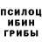 Псилоцибиновые грибы Magic Shrooms escucha