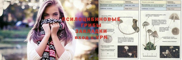 индика Снежногорск