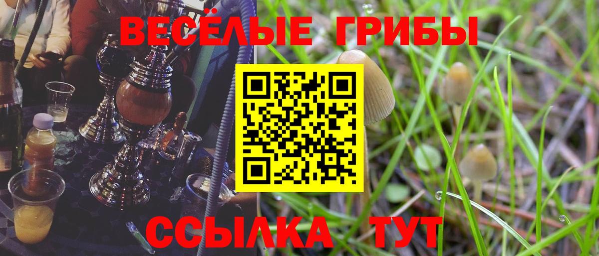 Альфа ПВП СК кристаллы  ГАШИШ  Вход с VPN  Кодеин  Бошки Шишки  Боровичи  Мефедрон кристаллы  Марихуана 