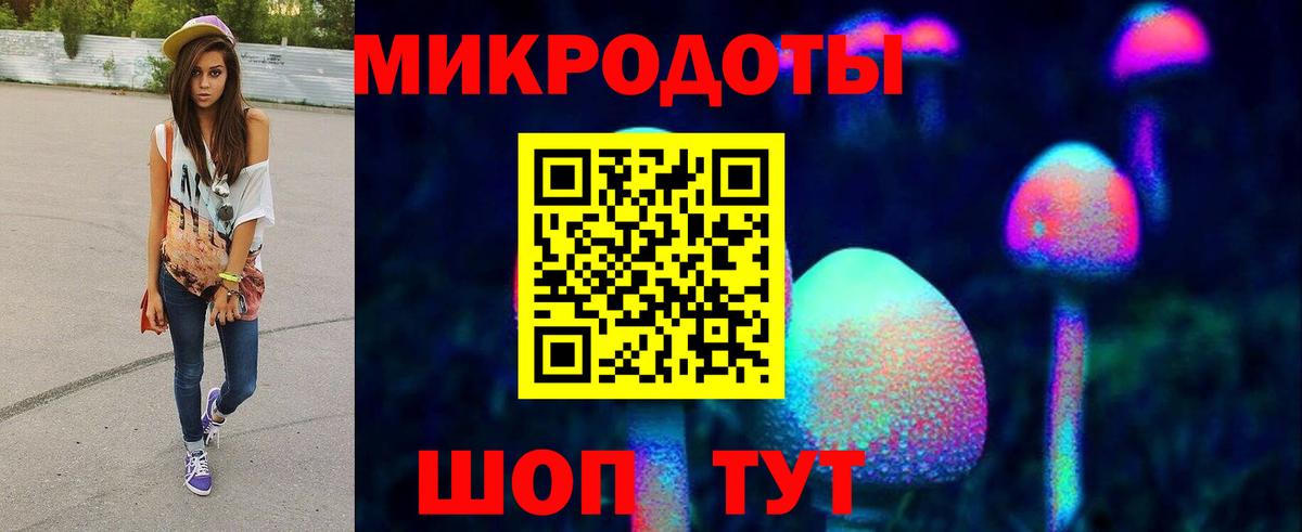 Псилоцибиновые грибы Psilocybine cubensis Боровичи