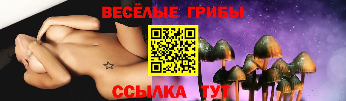 Галлюциногенные грибы мухоморы  Вход с VPN  Боровичи  Галлюциногенные грибы Magic Shrooms 